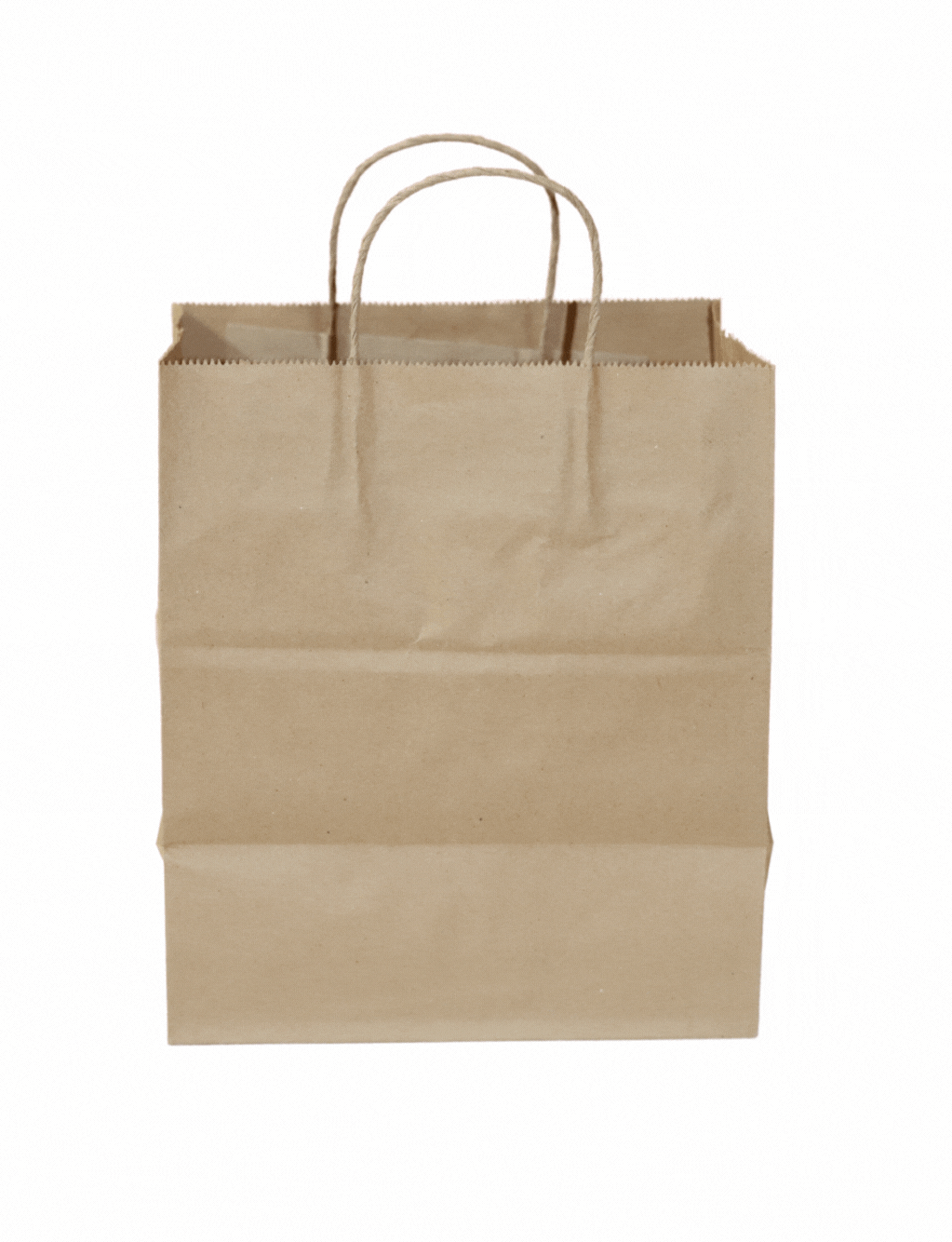Twisted Handle Paper Bag