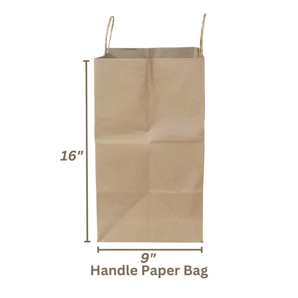 Twisted Handle Paper Bag